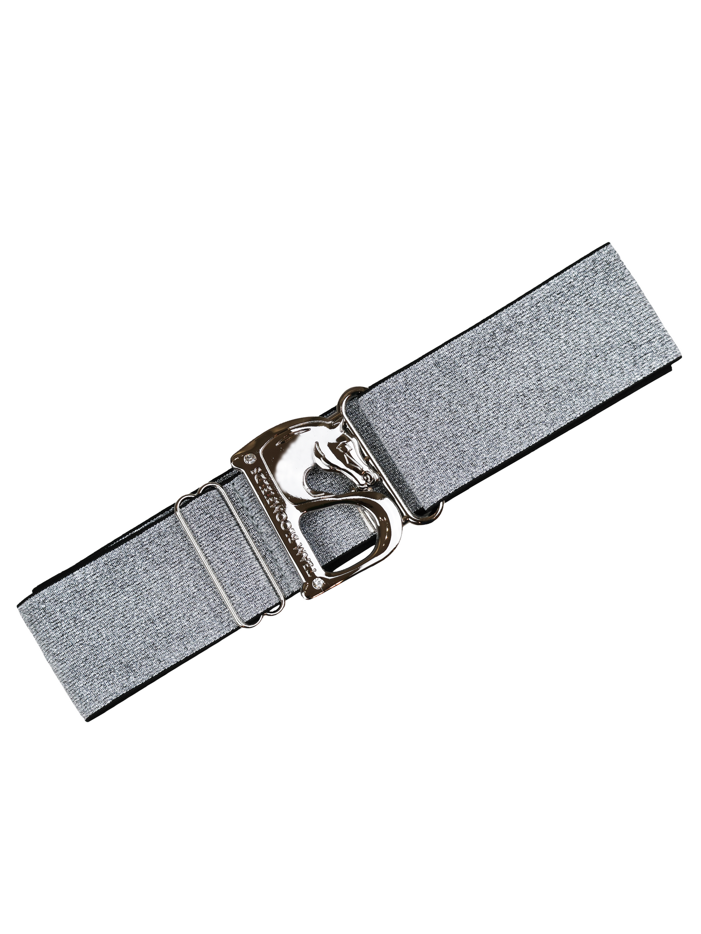 Metallic Silver & Silver B Belt