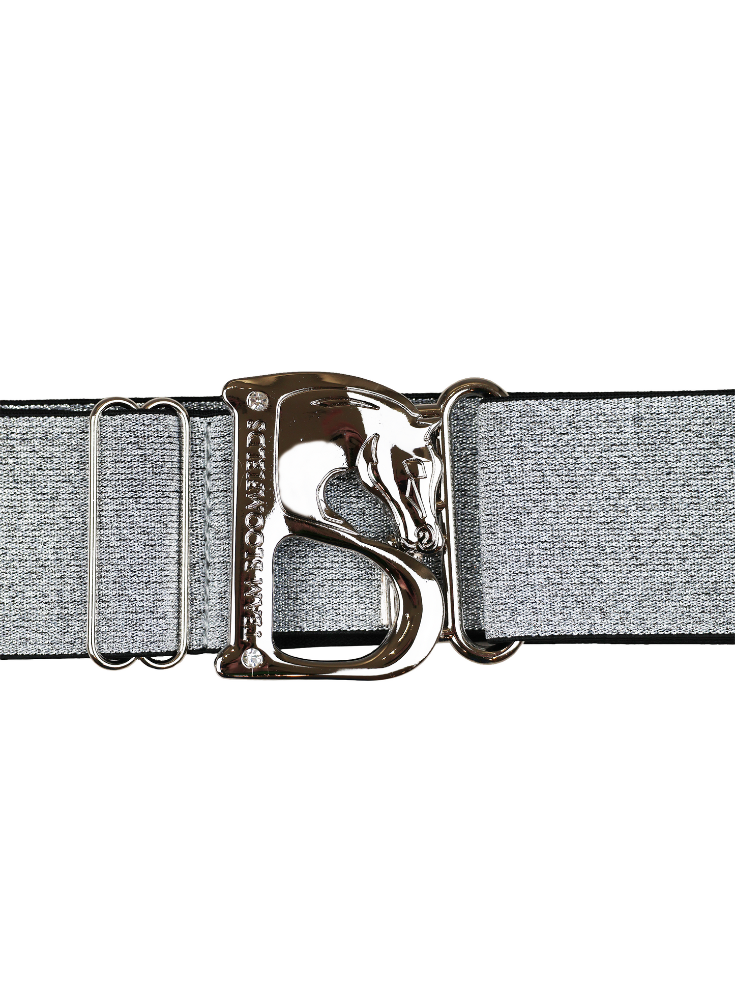 Metallic Silver & Silver B Belt