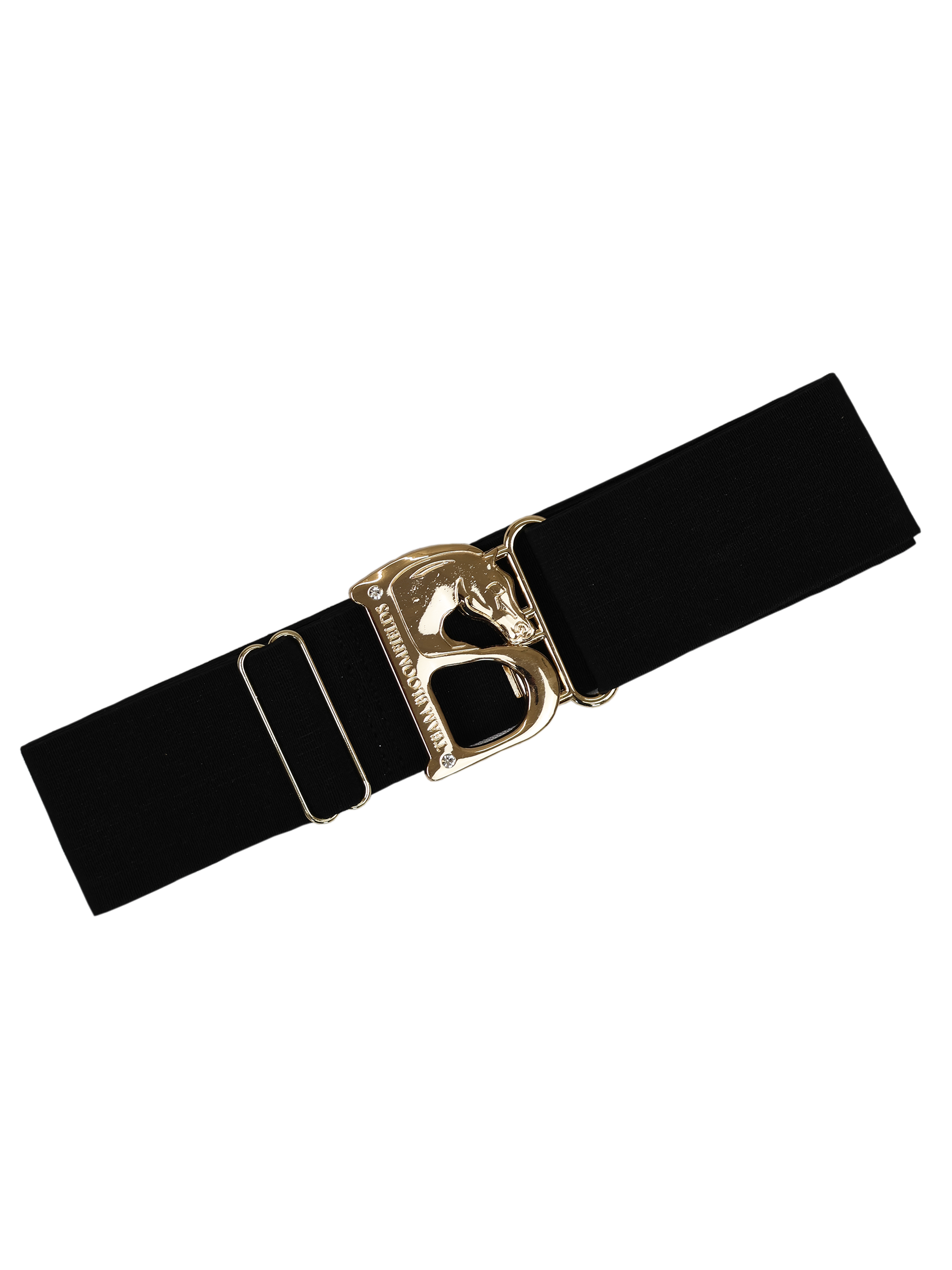 Black elastic equestrian belt with gold Bloomfields B buckle by Team Bloomfields, one size fits all for women and children