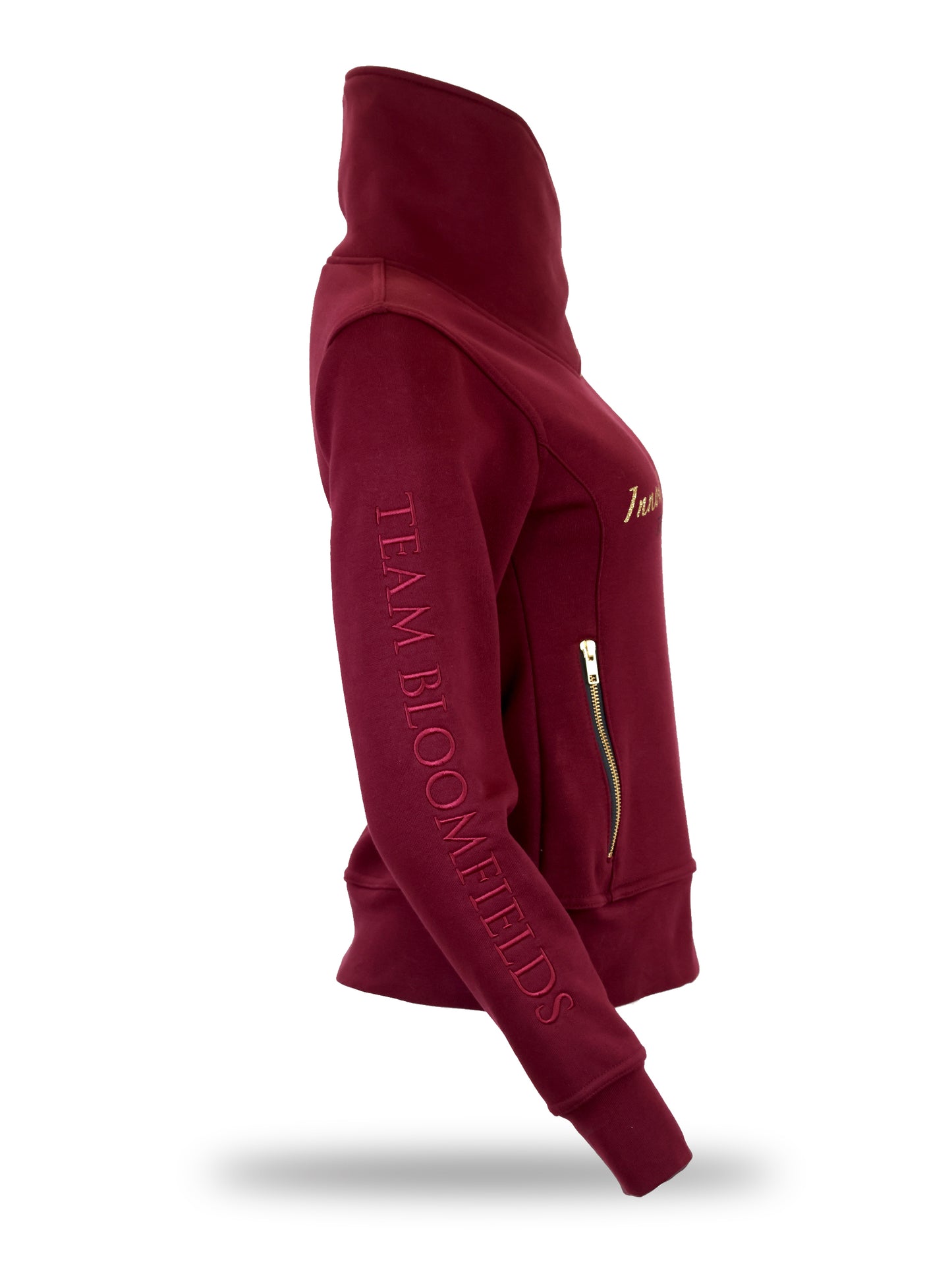 Eleanor Burgundy & Gold High Collar Mini Pullover