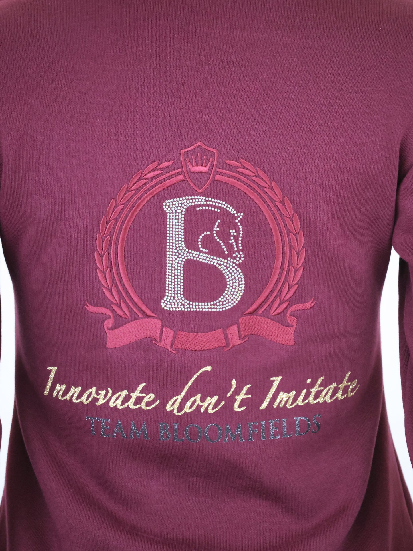 Eleanor Burgundy & Gold High Collar Mini Pullover