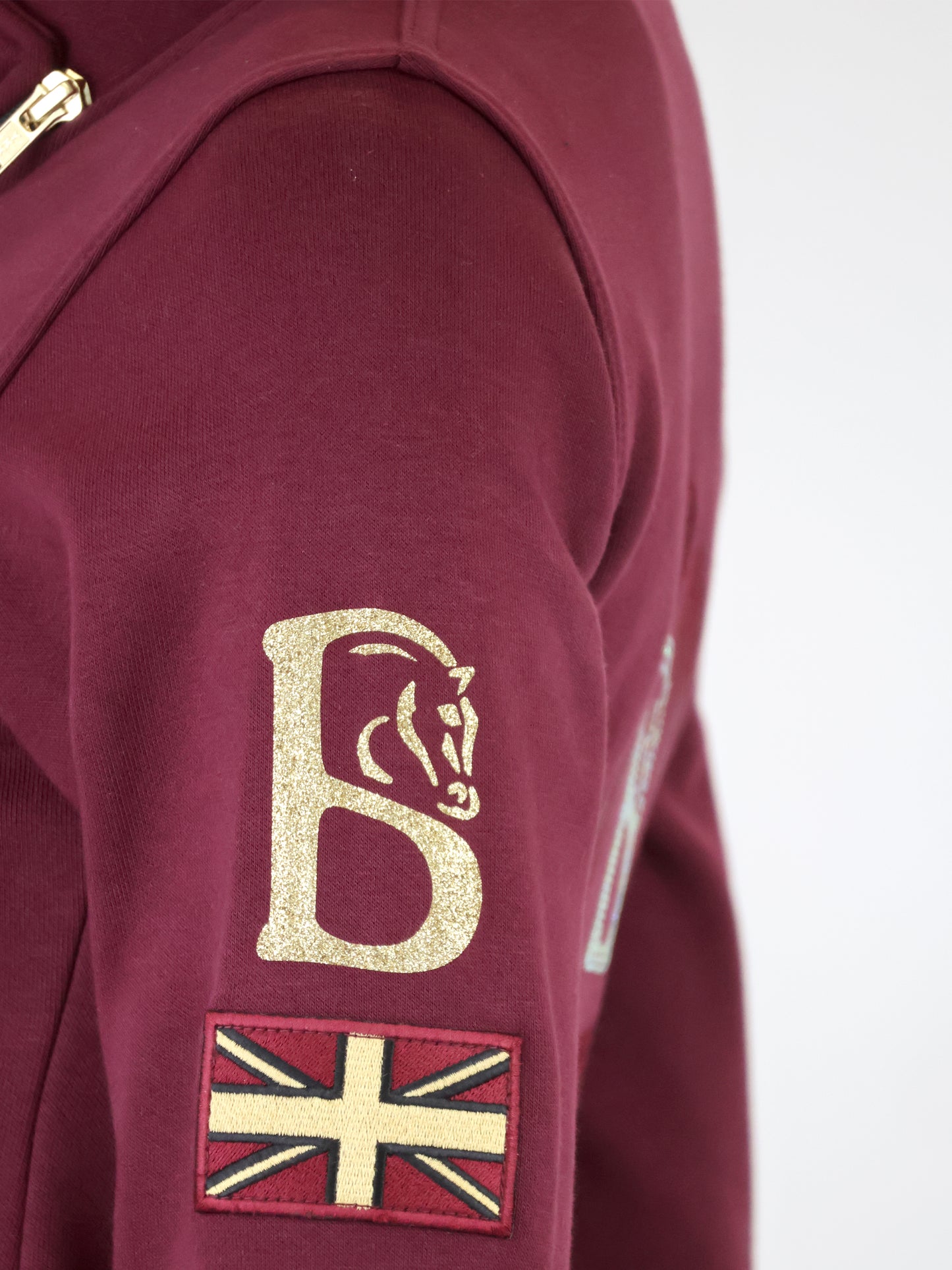 Eleanor Burgundy & Gold High Collar Mini Pullover