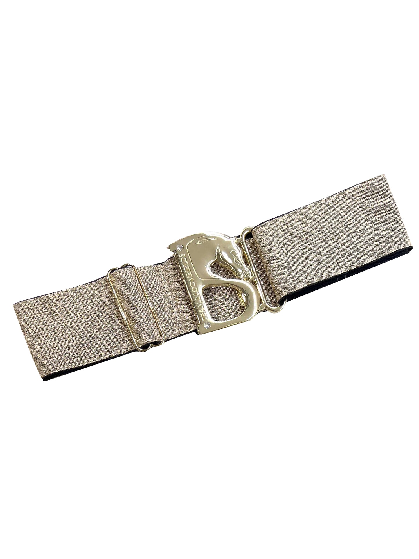Metallic Gold With Gold B Belt
