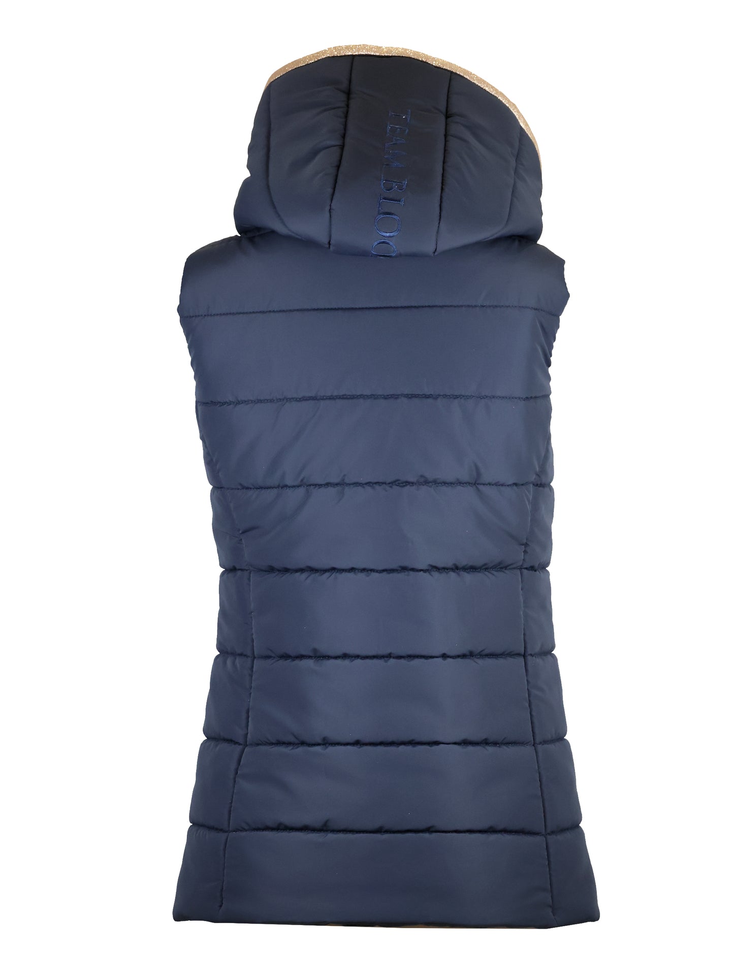 Legacy Navy & Champagne Gilet