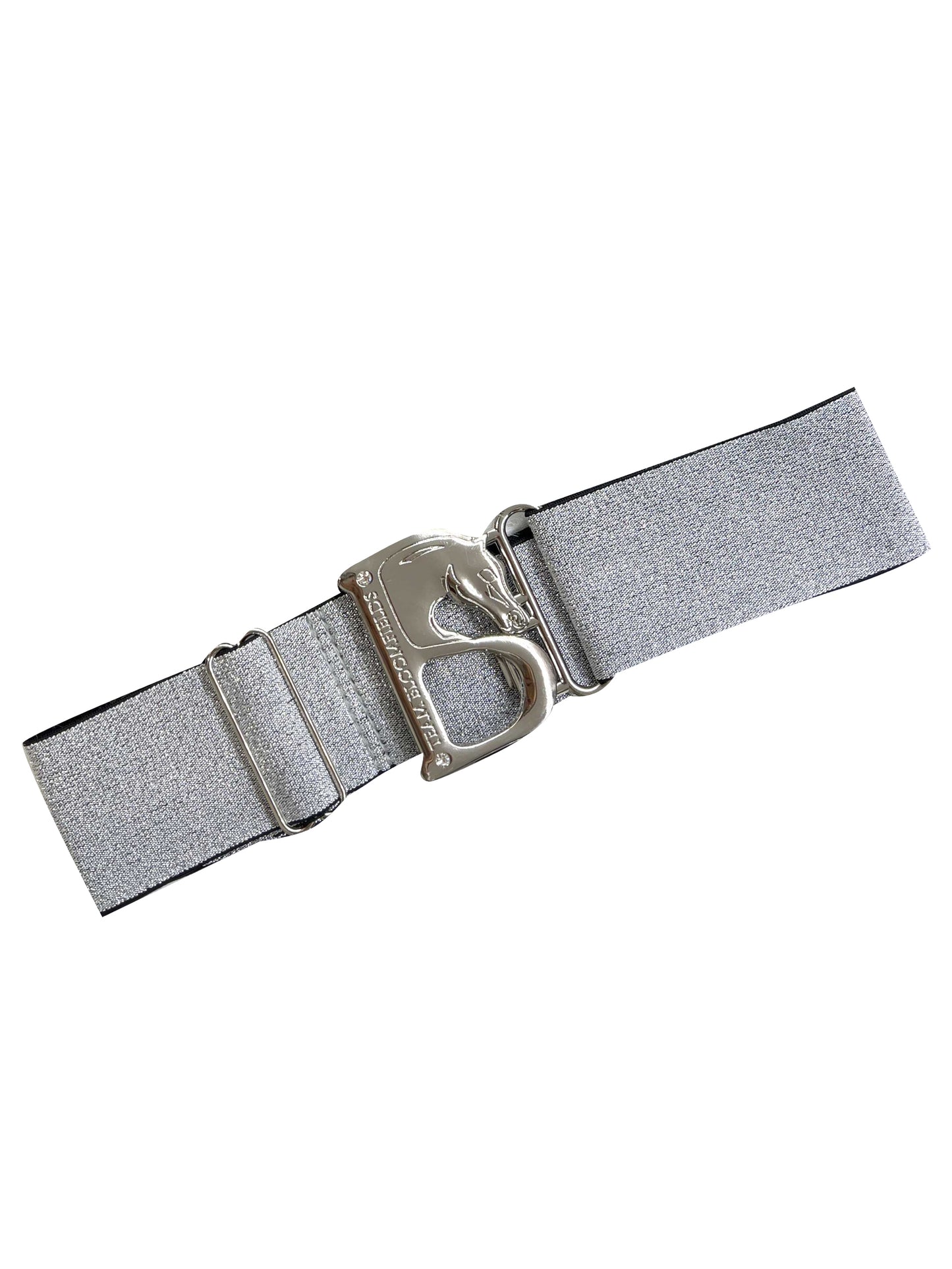 Metallic Silver & Silver B Belt